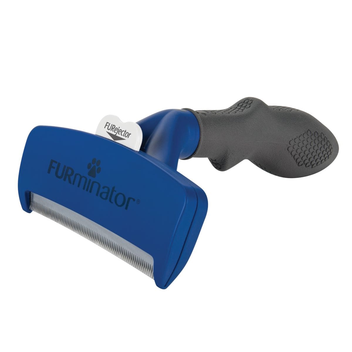 Large Dog Short Hair