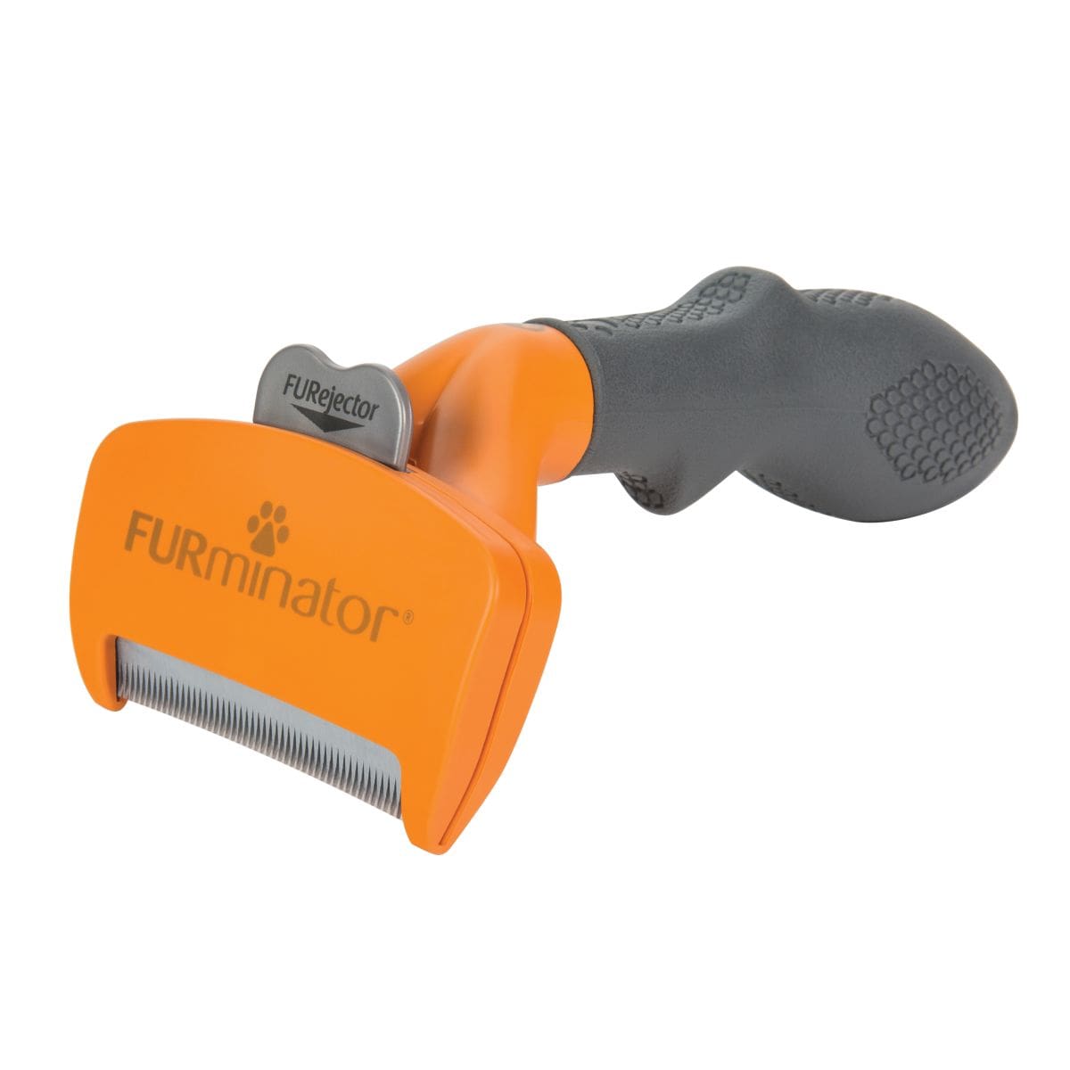 Medium Dog Long Hair