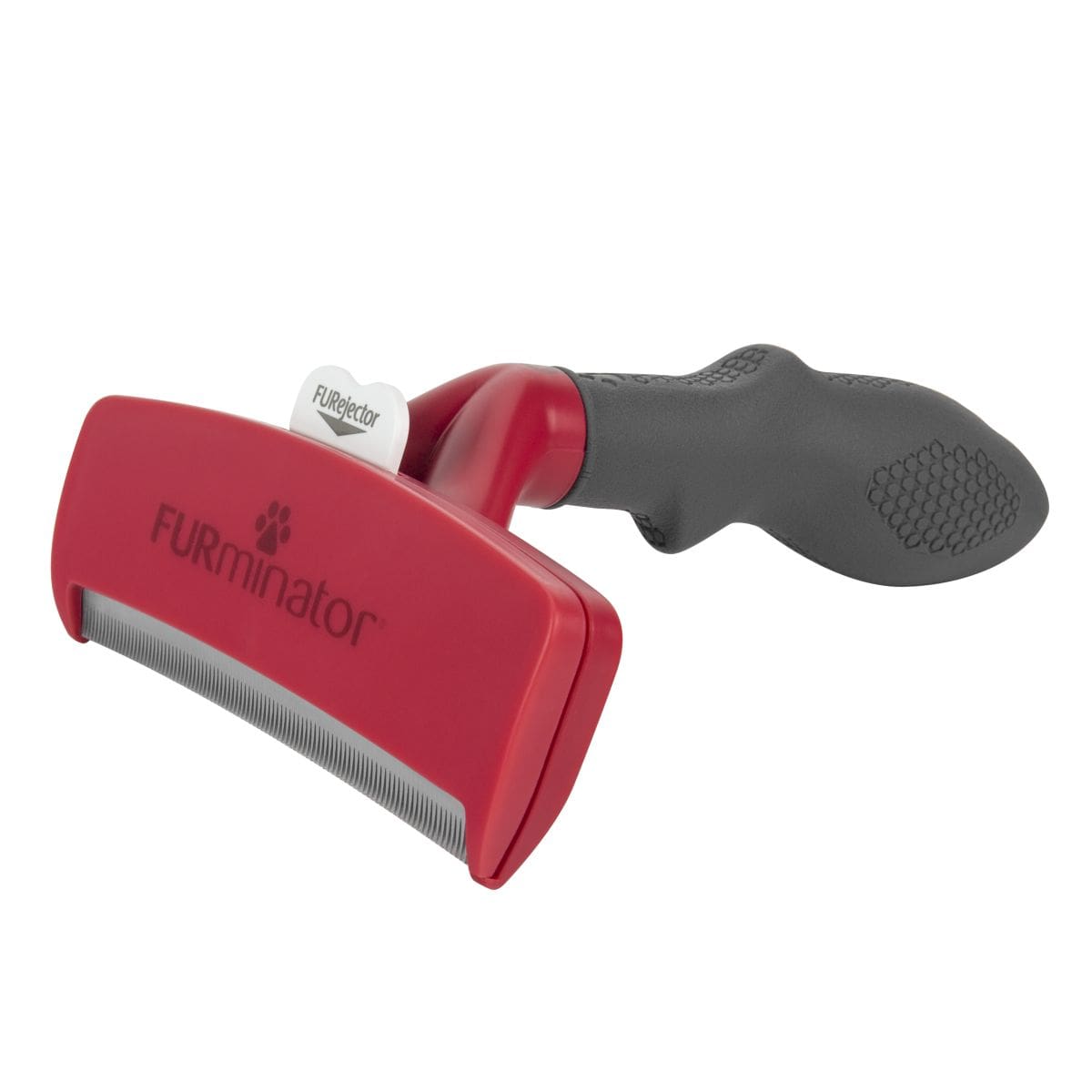 XLarge Dog Short Hair