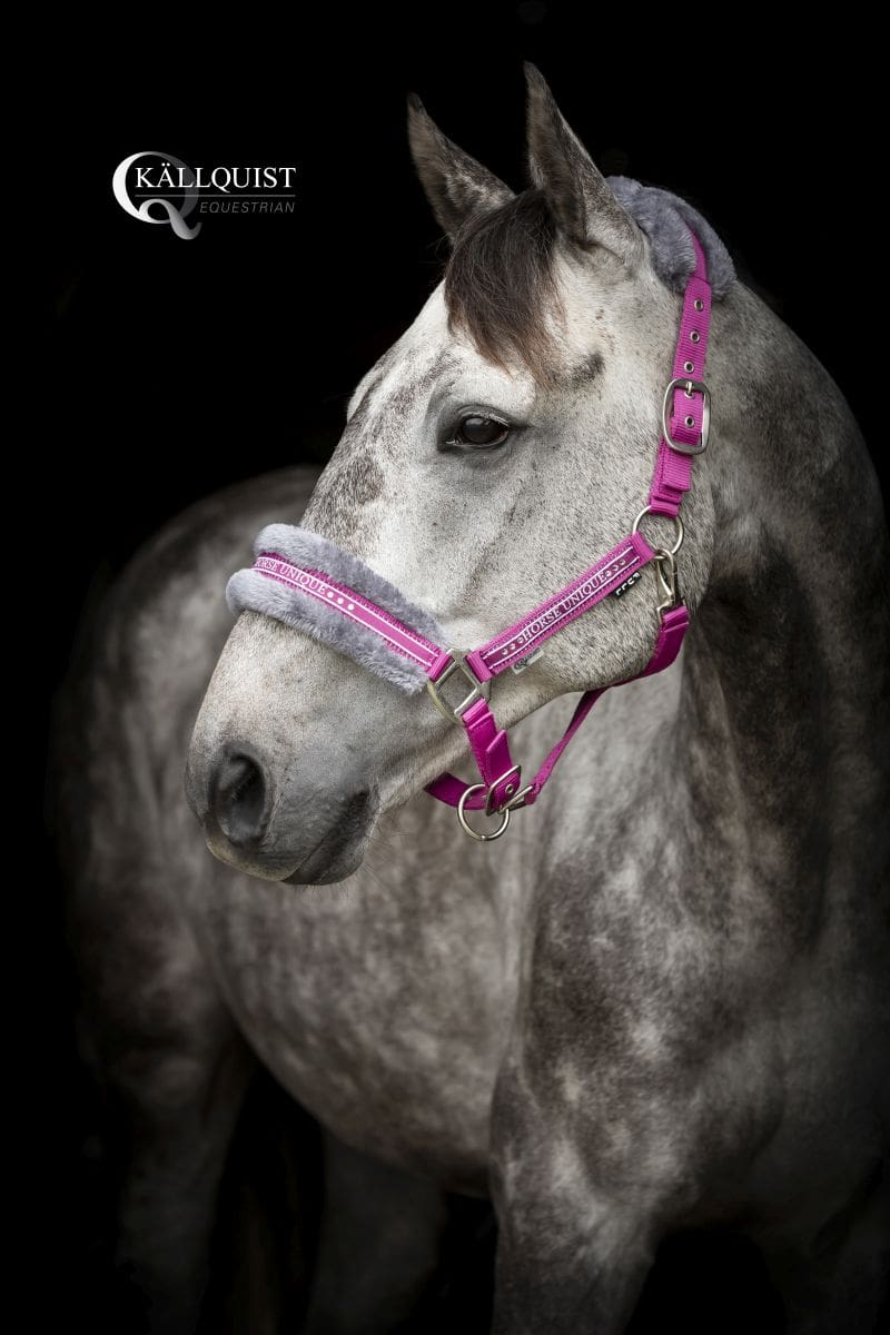 horseunique_ceriseQT7B2892_r_logga