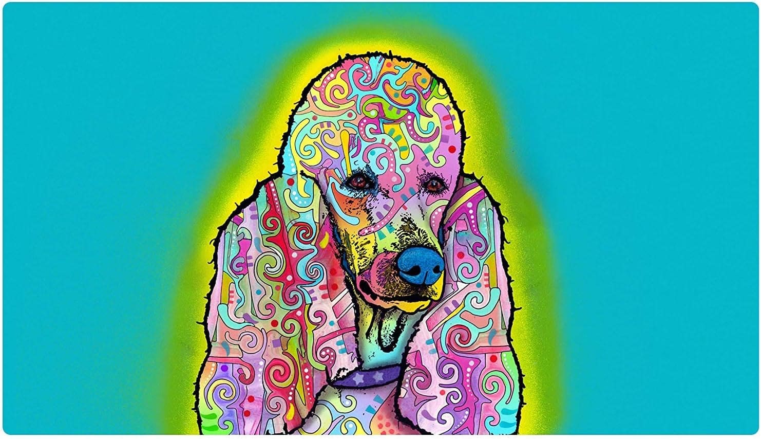 71A8z5669aL._AC_SL1500_