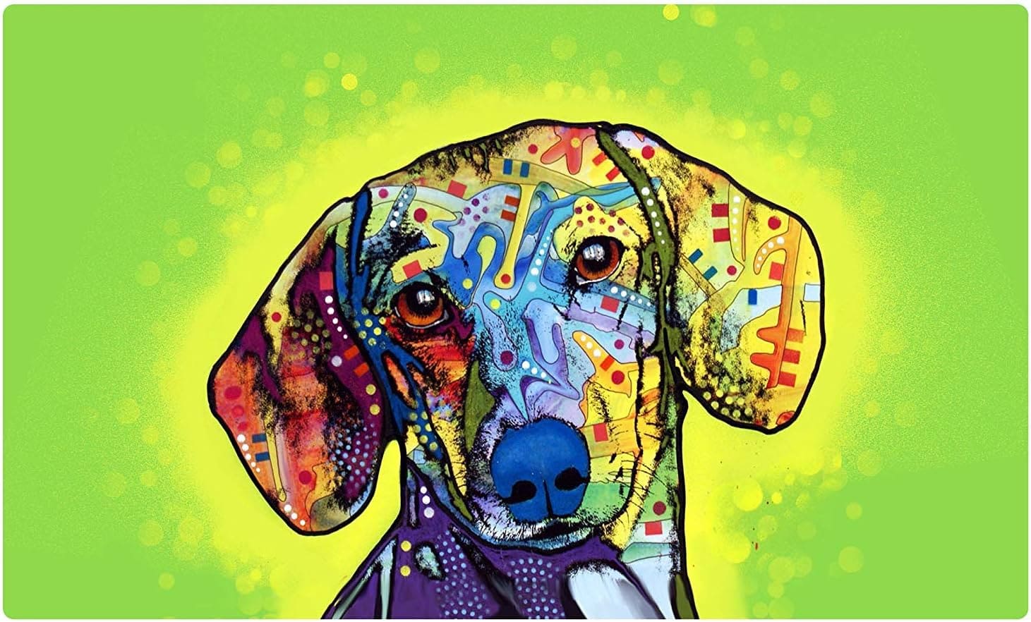 71nrLM7vPyL._AC_SL1500_