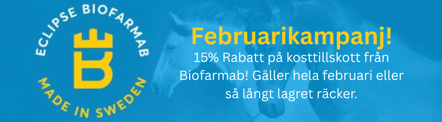 Februarikampanj (1440 x 400 px)