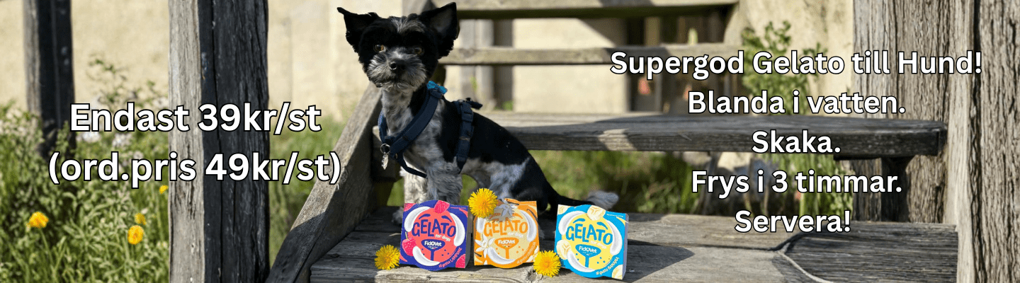 Gelato Banner Webbshop